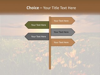 Spring Paradise Nature PowerPoint Template