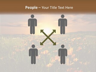 Spring Paradise Nature PowerPoint Template