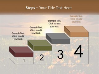 Spring Paradise Nature PowerPoint Template
