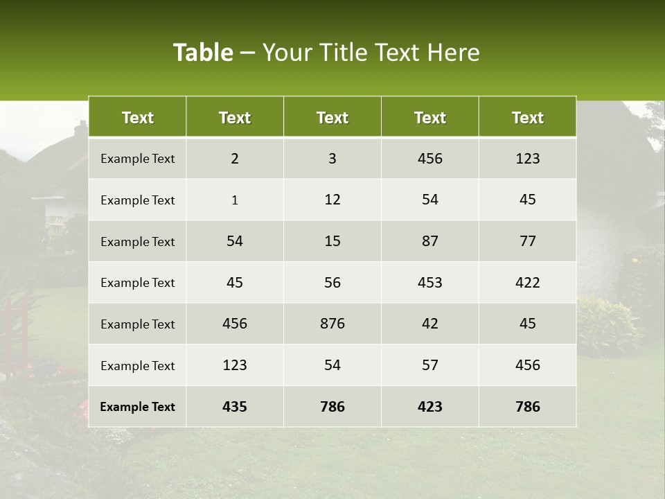 Airport Dublin Adare PowerPoint Template