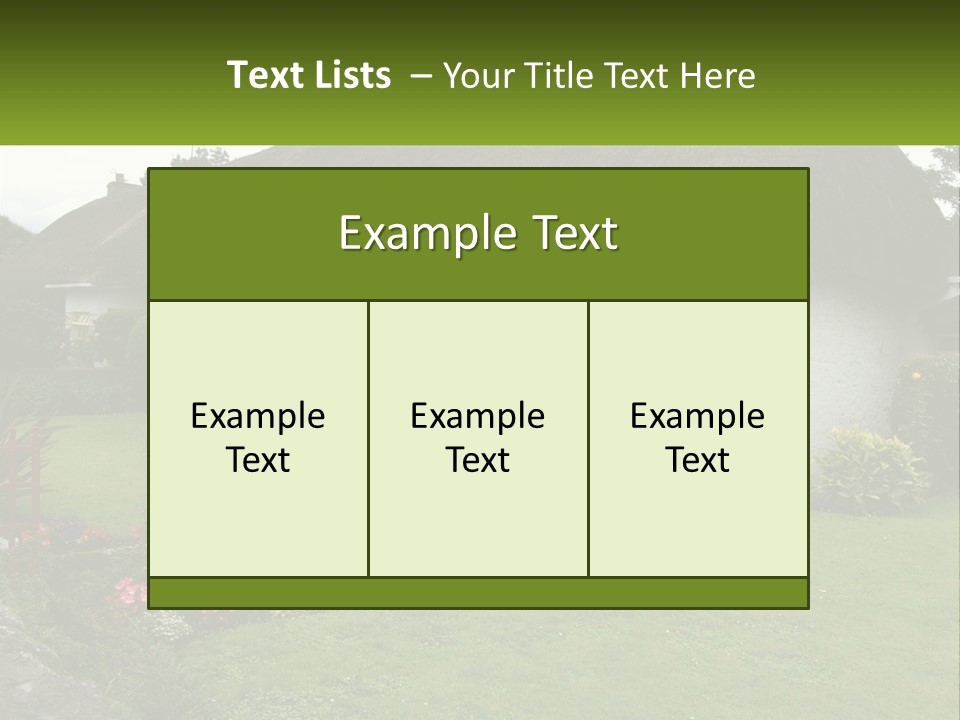 Airport Dublin Adare PowerPoint Template