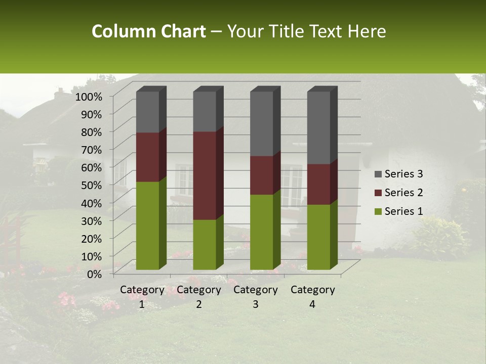 Airport Dublin Adare PowerPoint Template