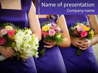 Studio Elegance Carnation PowerPoint Template