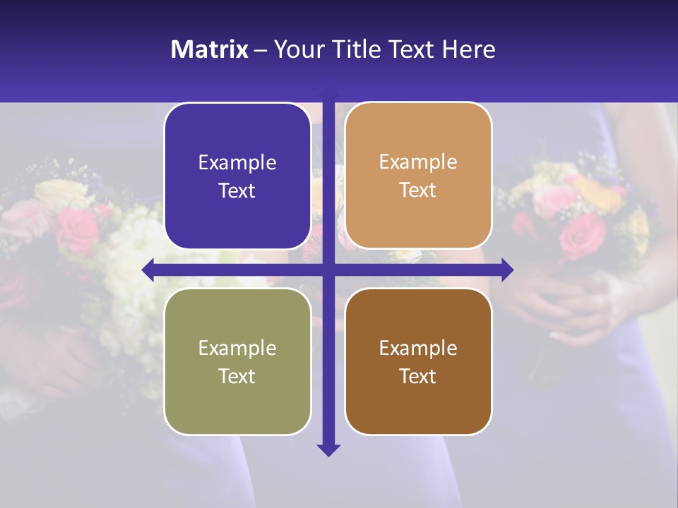 Studio Elegance Carnation PowerPoint Template