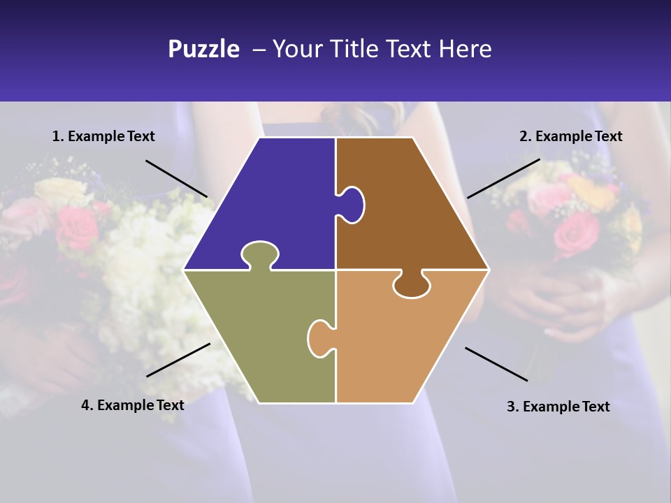 Studio Elegance Carnation PowerPoint Template