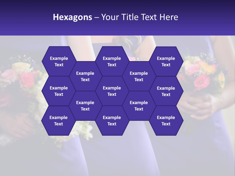 Studio Elegance Carnation PowerPoint Template