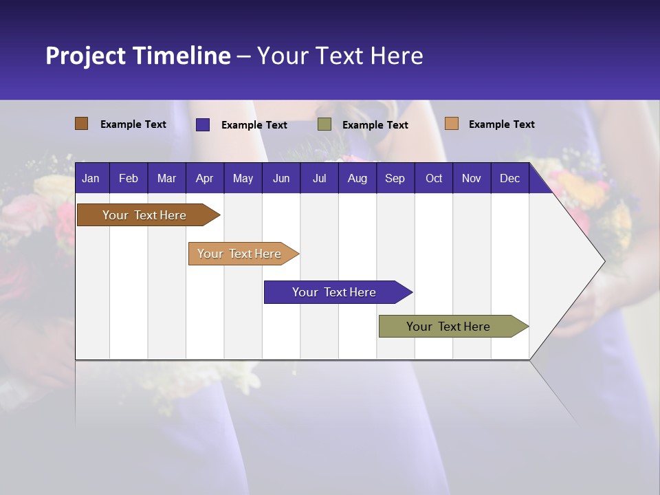 Studio Elegance Carnation PowerPoint Template