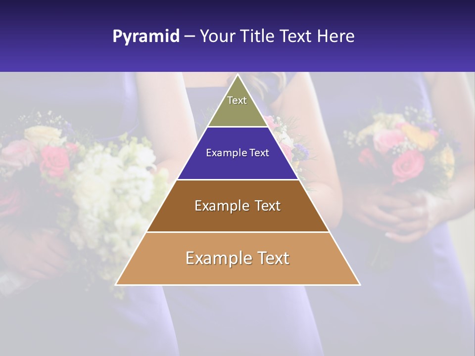 Studio Elegance Carnation PowerPoint Template