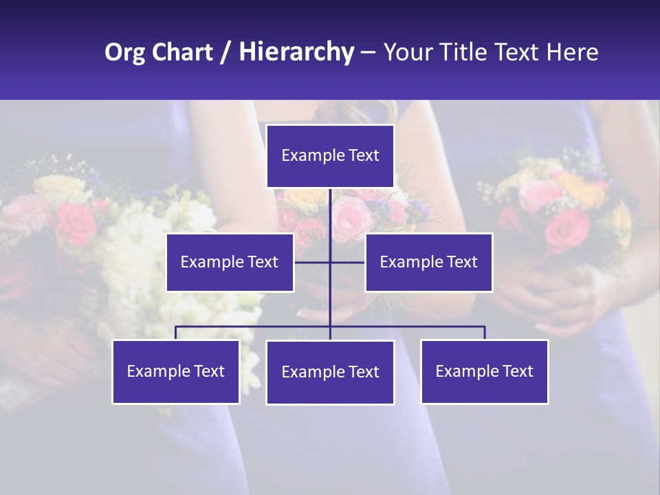 Studio Elegance Carnation PowerPoint Template