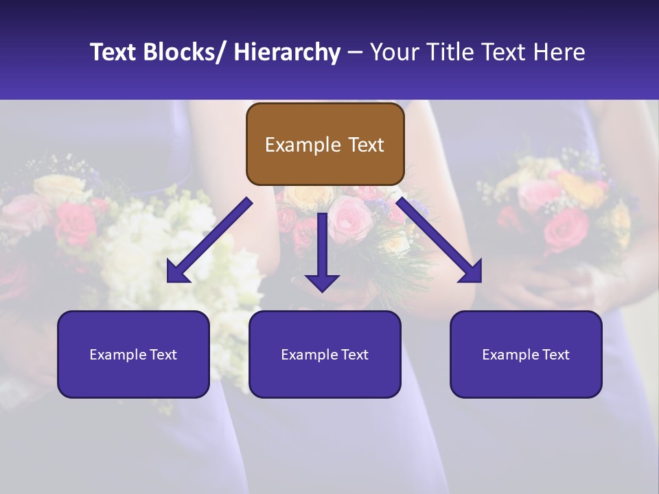 Studio Elegance Carnation PowerPoint Template
