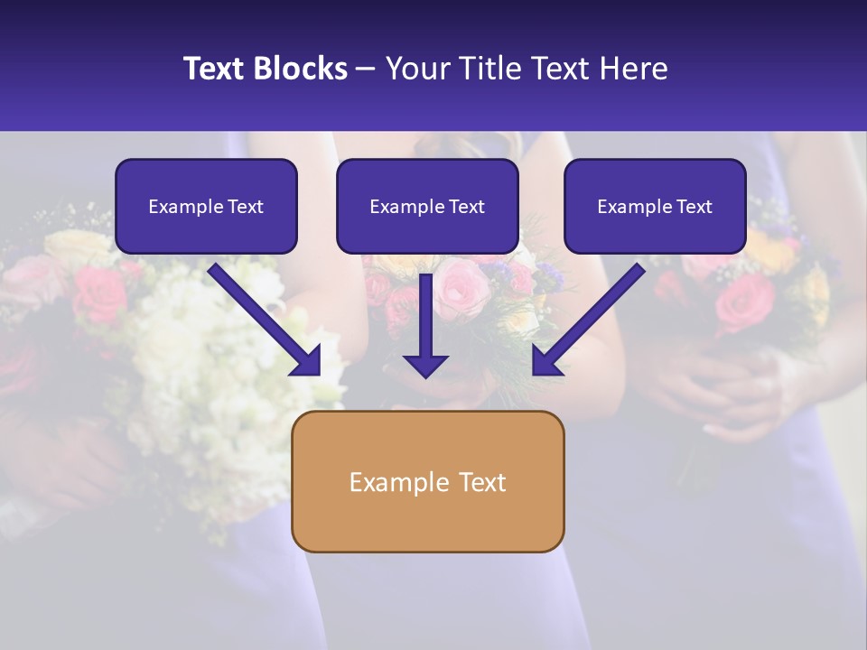 Studio Elegance Carnation PowerPoint Template
