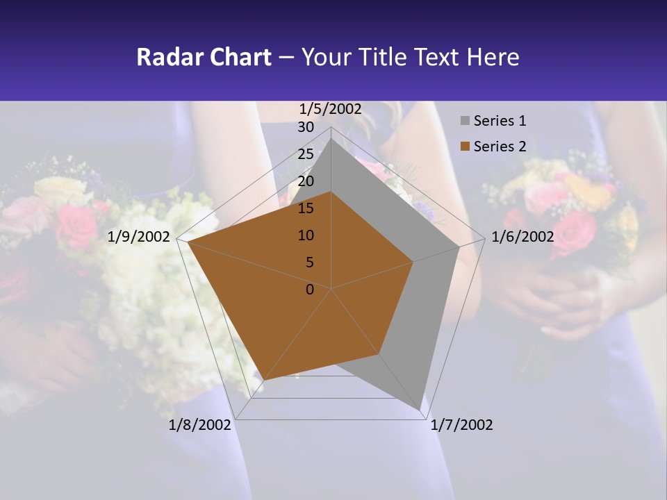 Studio Elegance Carnation PowerPoint Template