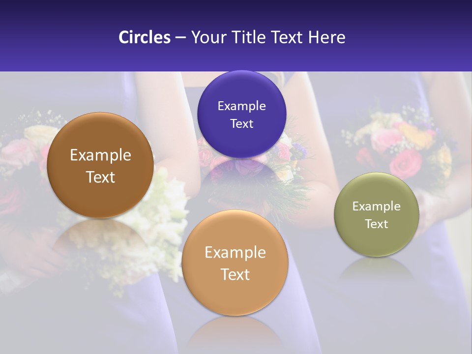 Studio Elegance Carnation PowerPoint Template