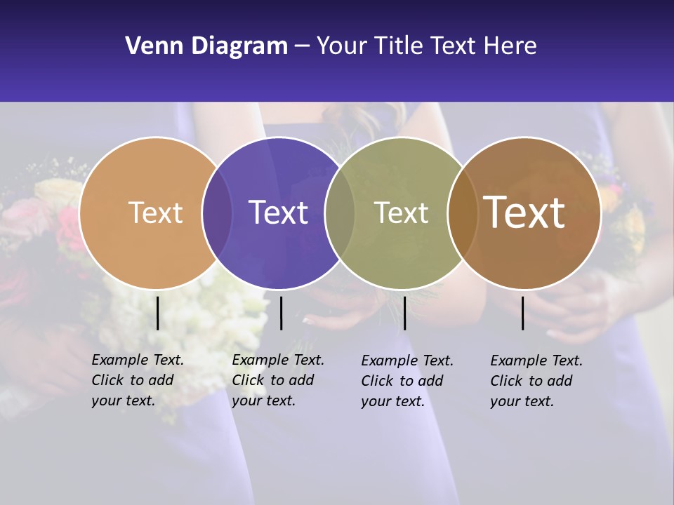 Studio Elegance Carnation PowerPoint Template