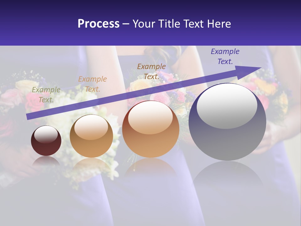 Studio Elegance Carnation PowerPoint Template