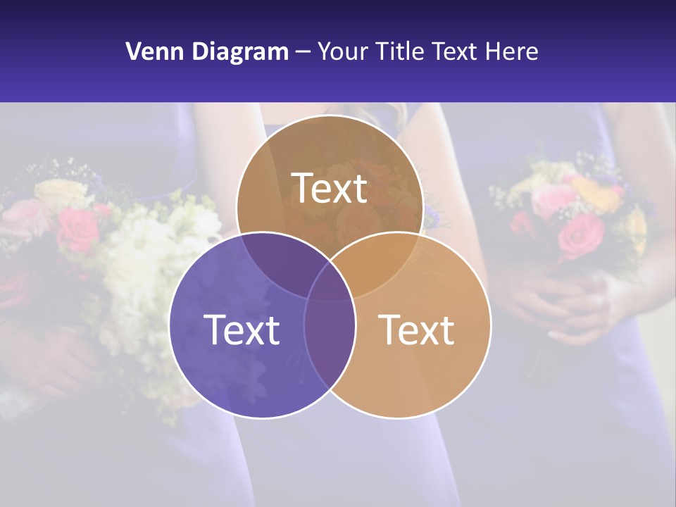 Studio Elegance Carnation PowerPoint Template