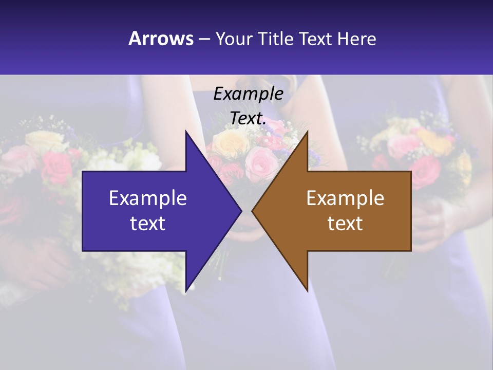 Studio Elegance Carnation PowerPoint Template