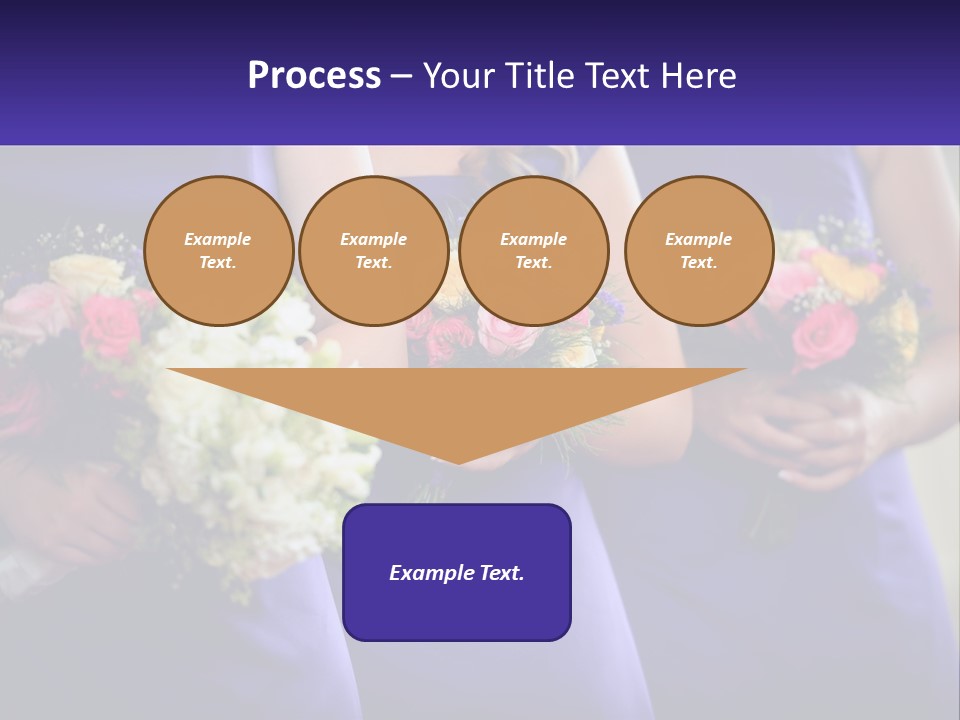Studio Elegance Carnation PowerPoint Template