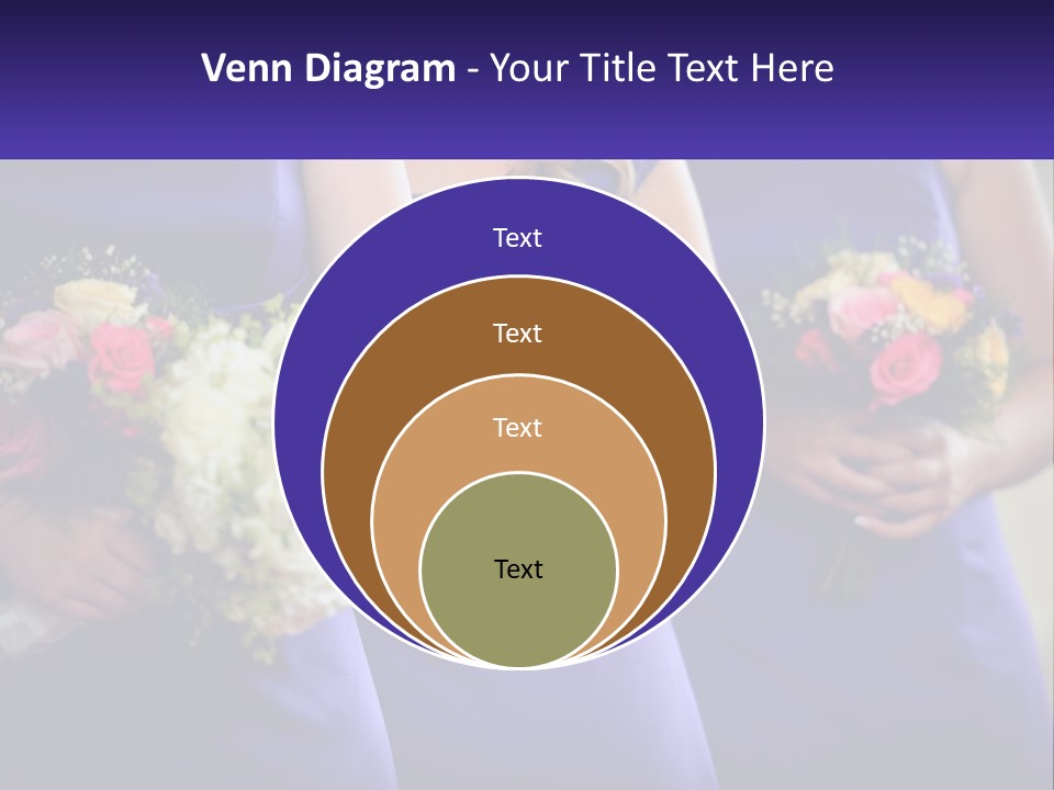 Studio Elegance Carnation PowerPoint Template