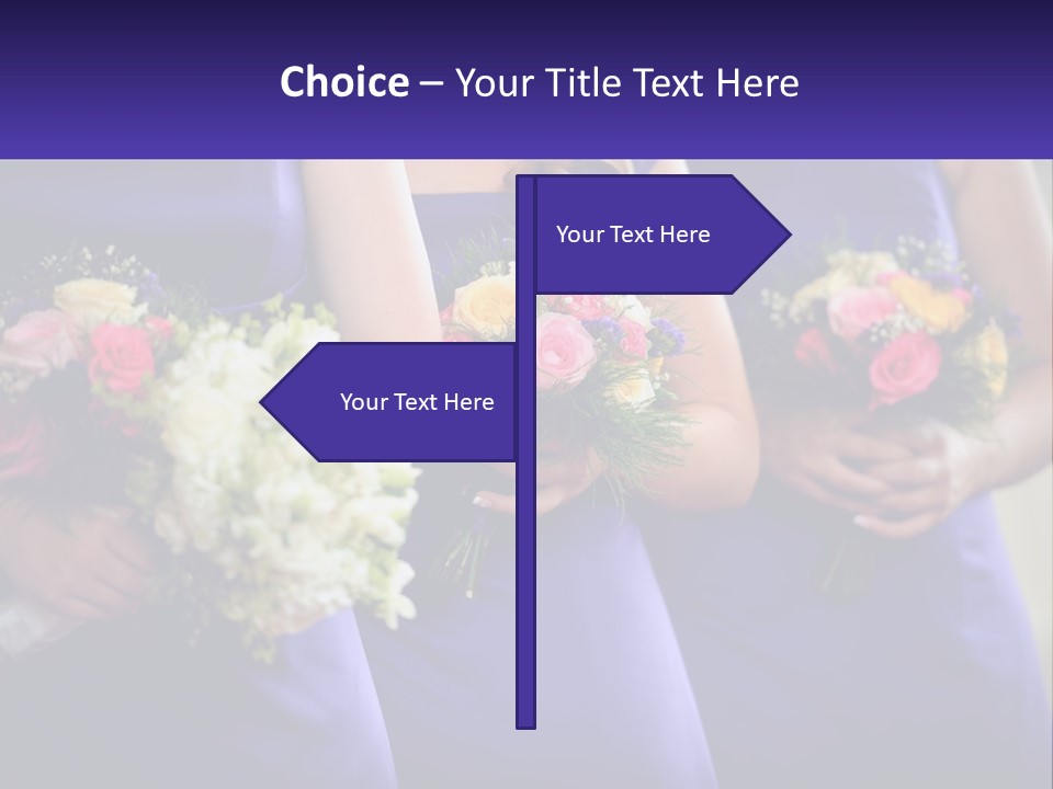 Studio Elegance Carnation PowerPoint Template