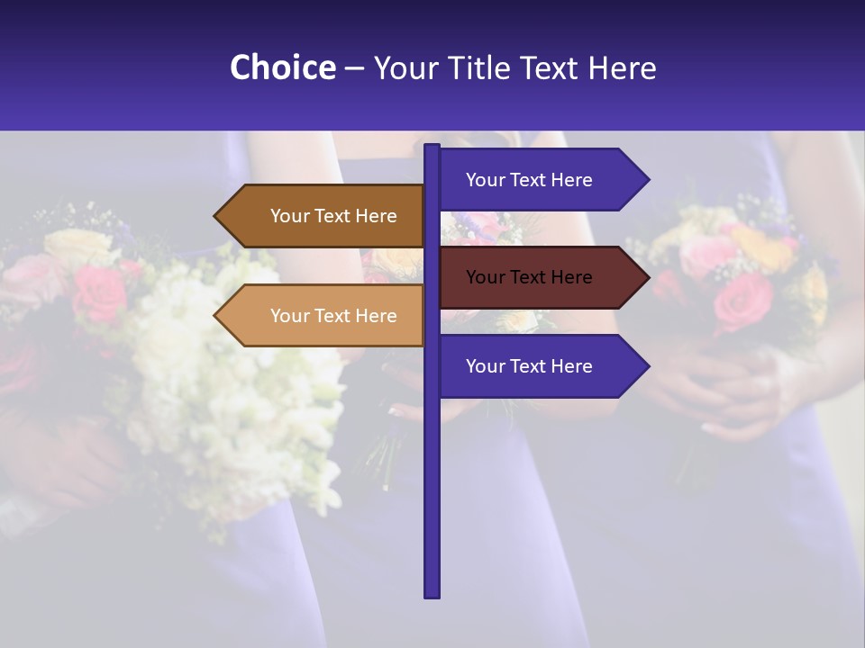 Studio Elegance Carnation PowerPoint Template
