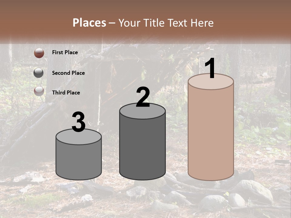 Branch Evergreen Bush PowerPoint Template