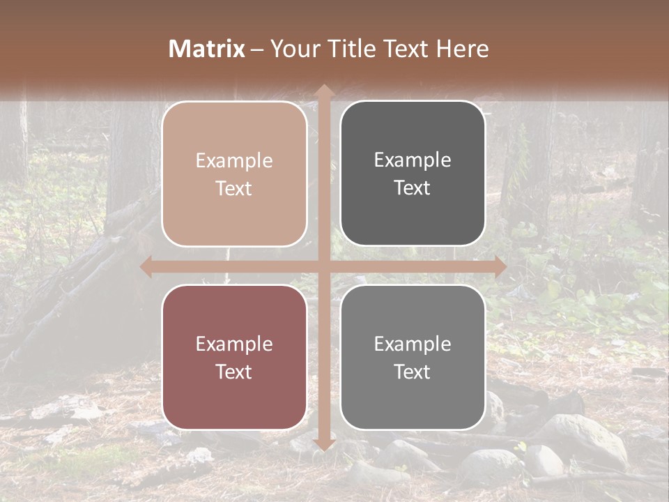 Branch Evergreen Bush PowerPoint Template