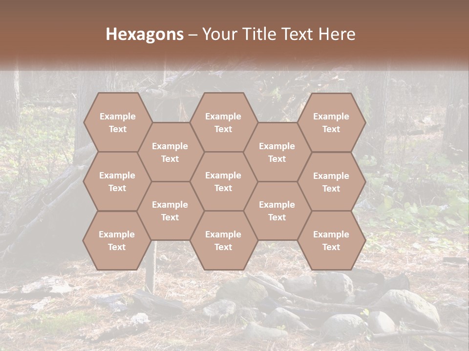 Branch Evergreen Bush PowerPoint Template