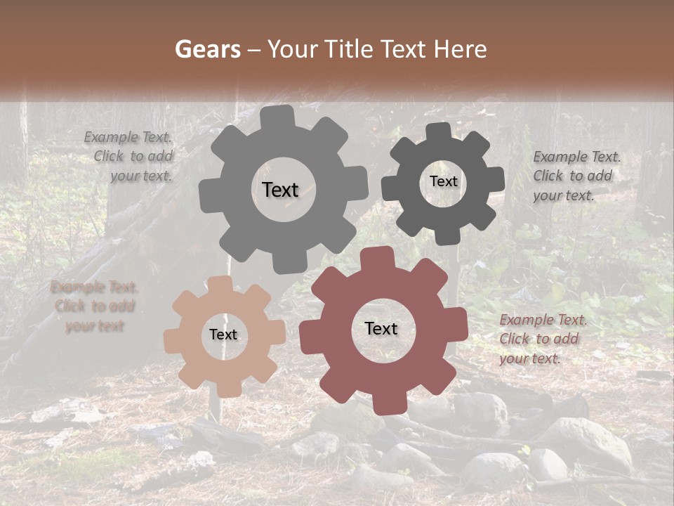 Branch Evergreen Bush PowerPoint Template