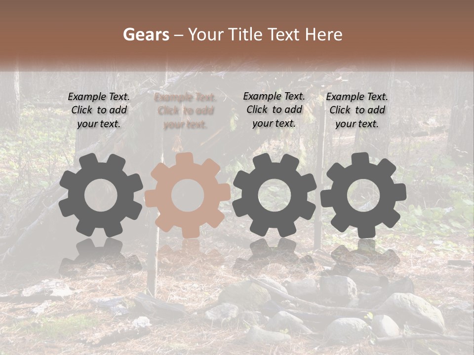 Branch Evergreen Bush PowerPoint Template