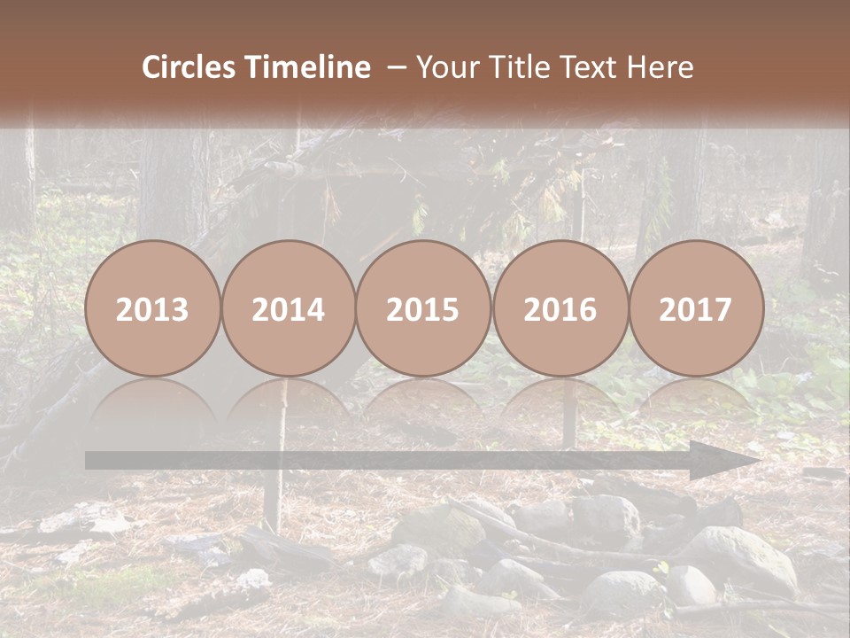 Branch Evergreen Bush PowerPoint Template