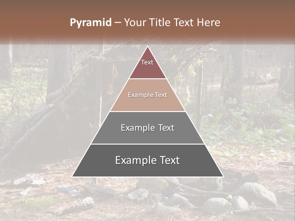 Branch Evergreen Bush PowerPoint Template