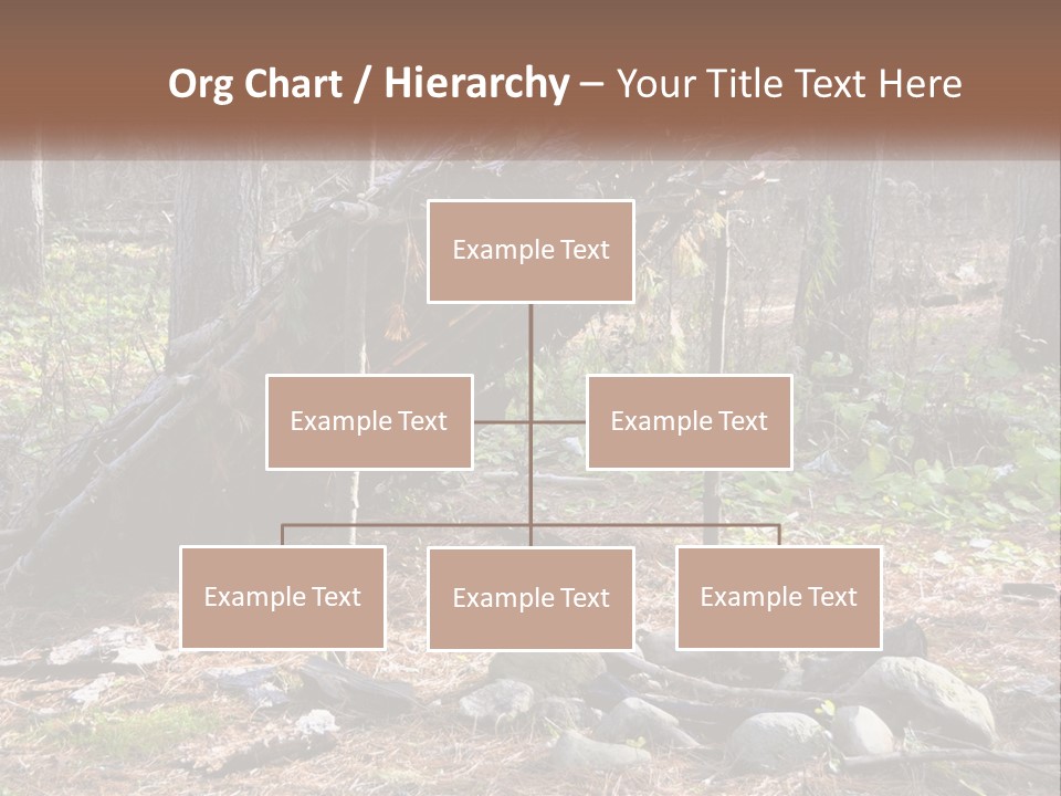 Branch Evergreen Bush PowerPoint Template