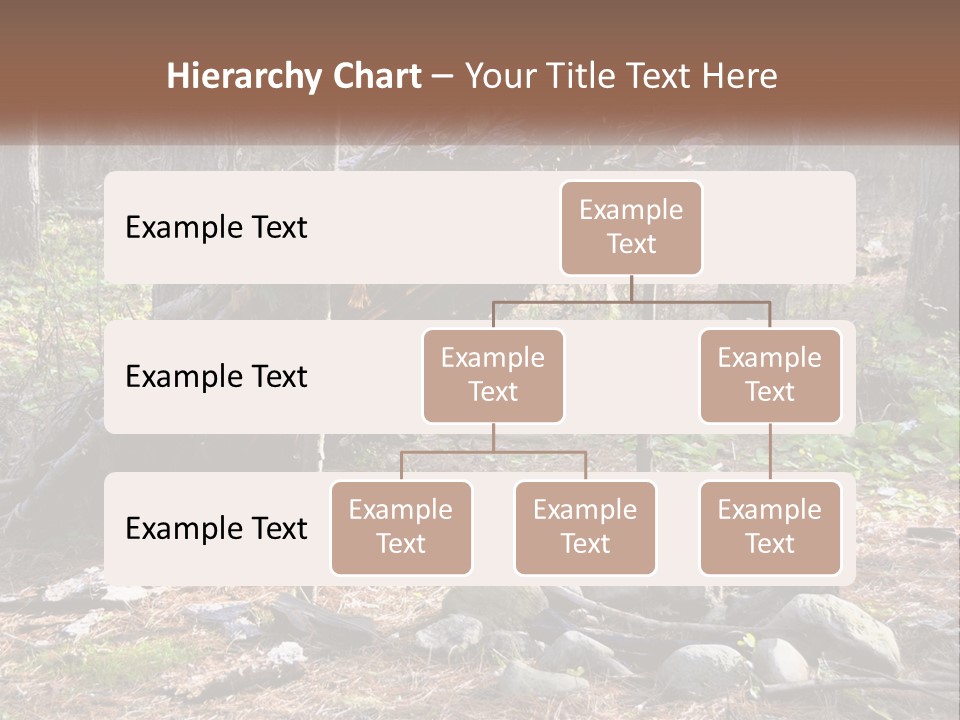Branch Evergreen Bush PowerPoint Template