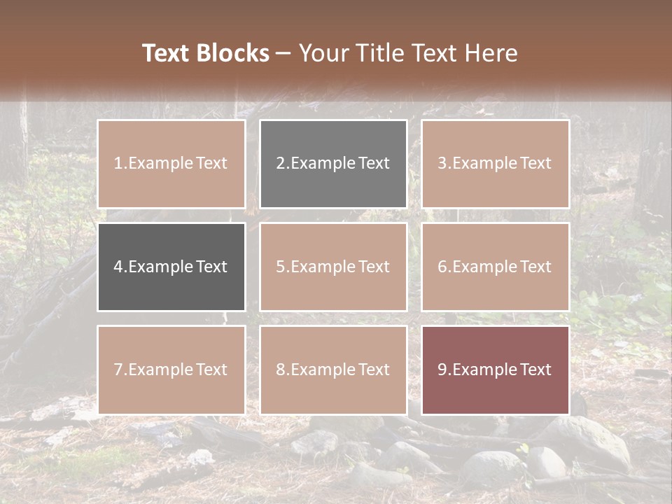 Branch Evergreen Bush PowerPoint Template