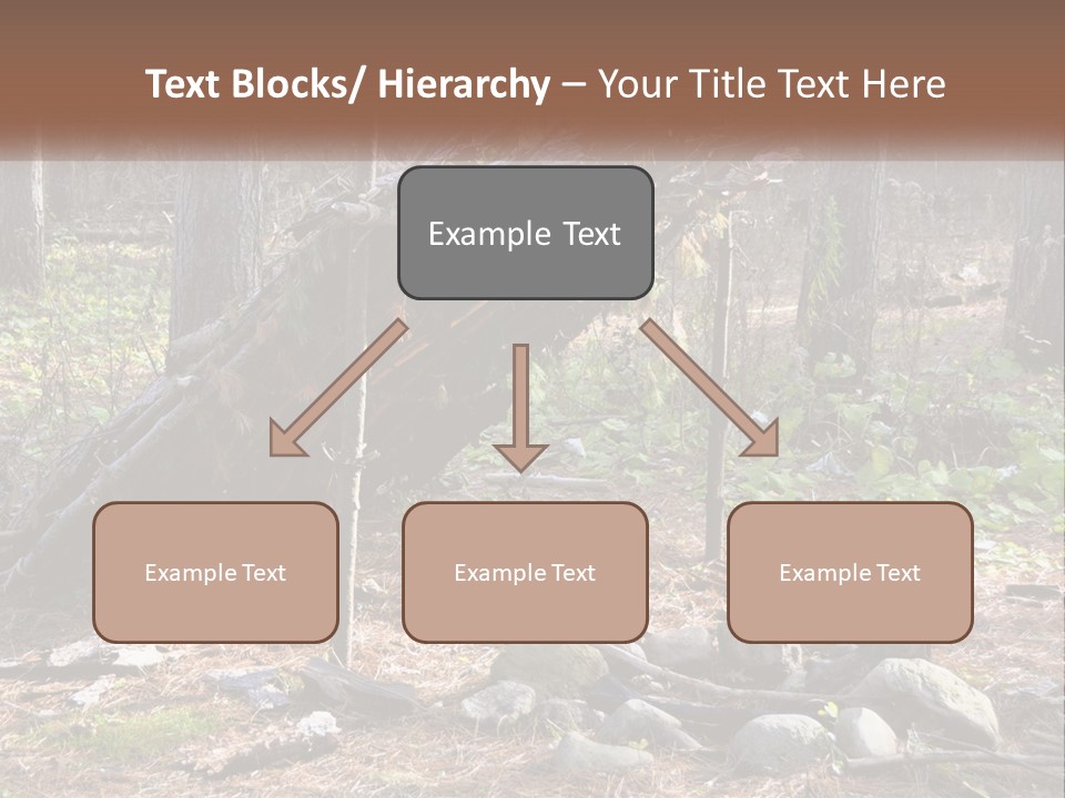 Branch Evergreen Bush PowerPoint Template
