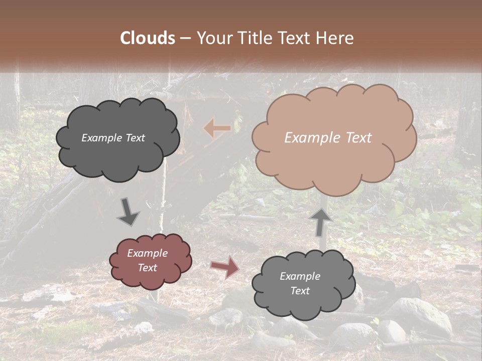 Branch Evergreen Bush PowerPoint Template