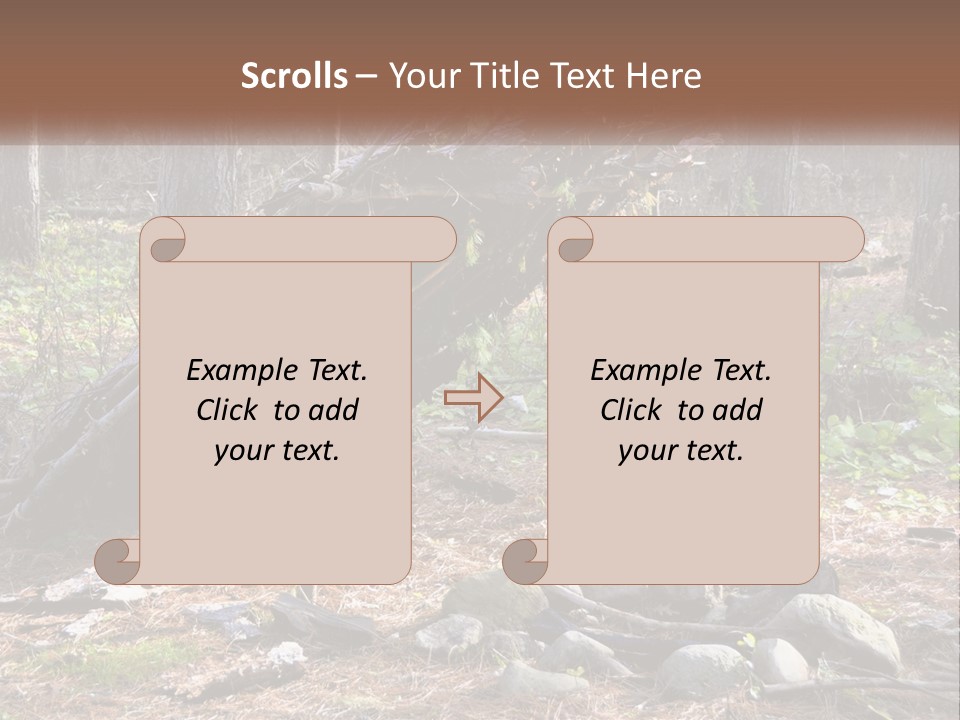 Branch Evergreen Bush PowerPoint Template