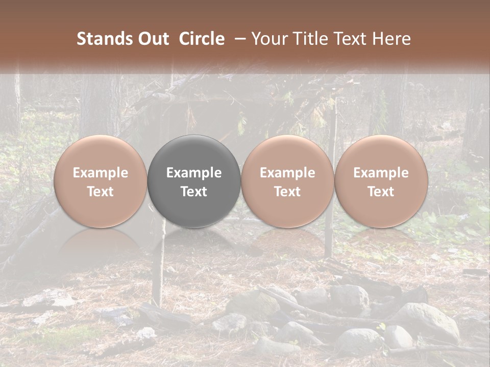 Branch Evergreen Bush PowerPoint Template