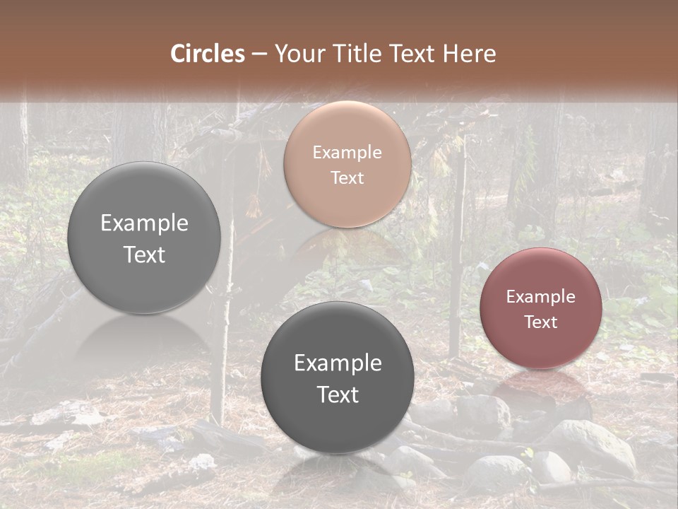 Branch Evergreen Bush PowerPoint Template