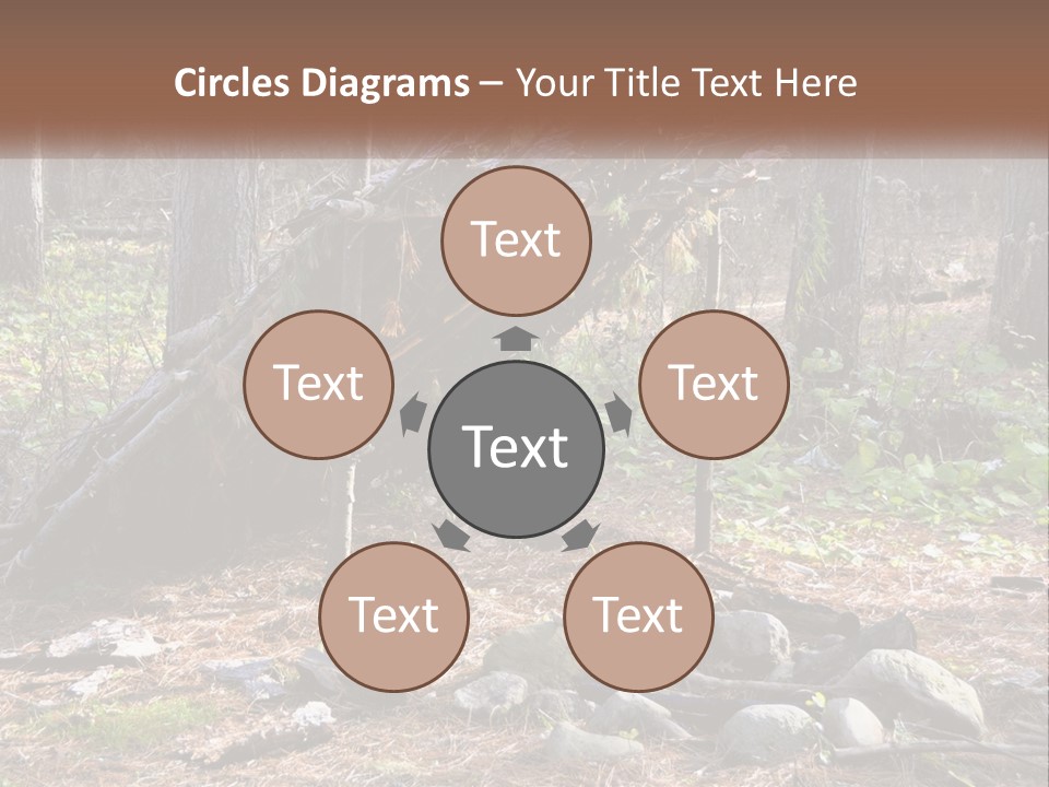 Branch Evergreen Bush PowerPoint Template