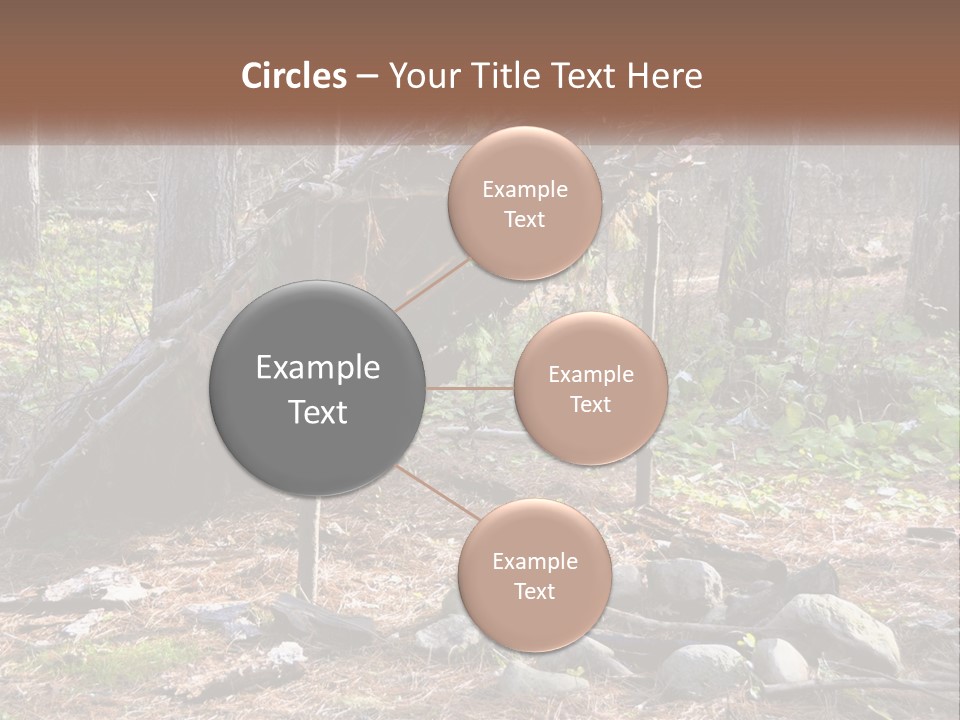 Branch Evergreen Bush PowerPoint Template