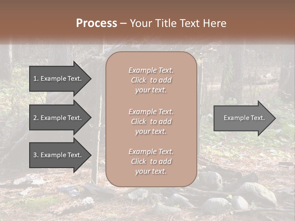 Branch Evergreen Bush PowerPoint Template
