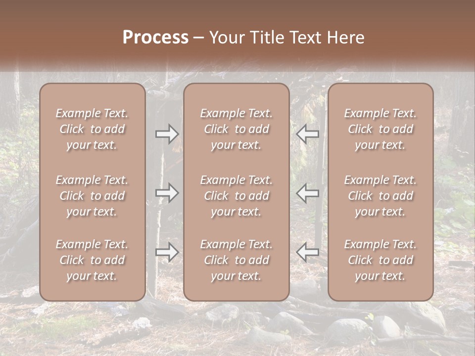 Branch Evergreen Bush PowerPoint Template