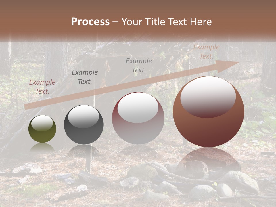 Branch Evergreen Bush PowerPoint Template