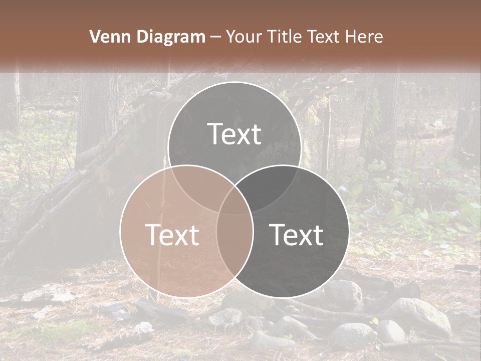 Branch Evergreen Bush PowerPoint Template