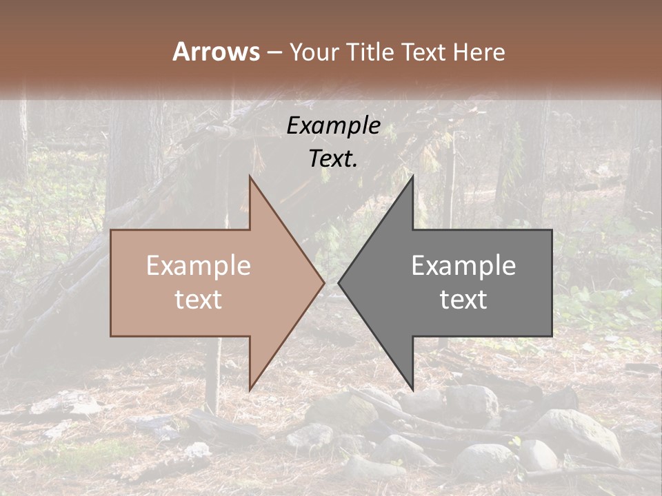 Branch Evergreen Bush PowerPoint Template