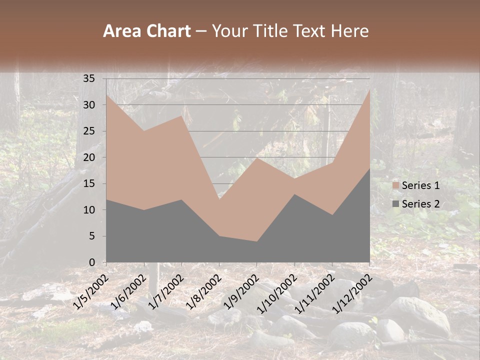 Branch Evergreen Bush PowerPoint Template