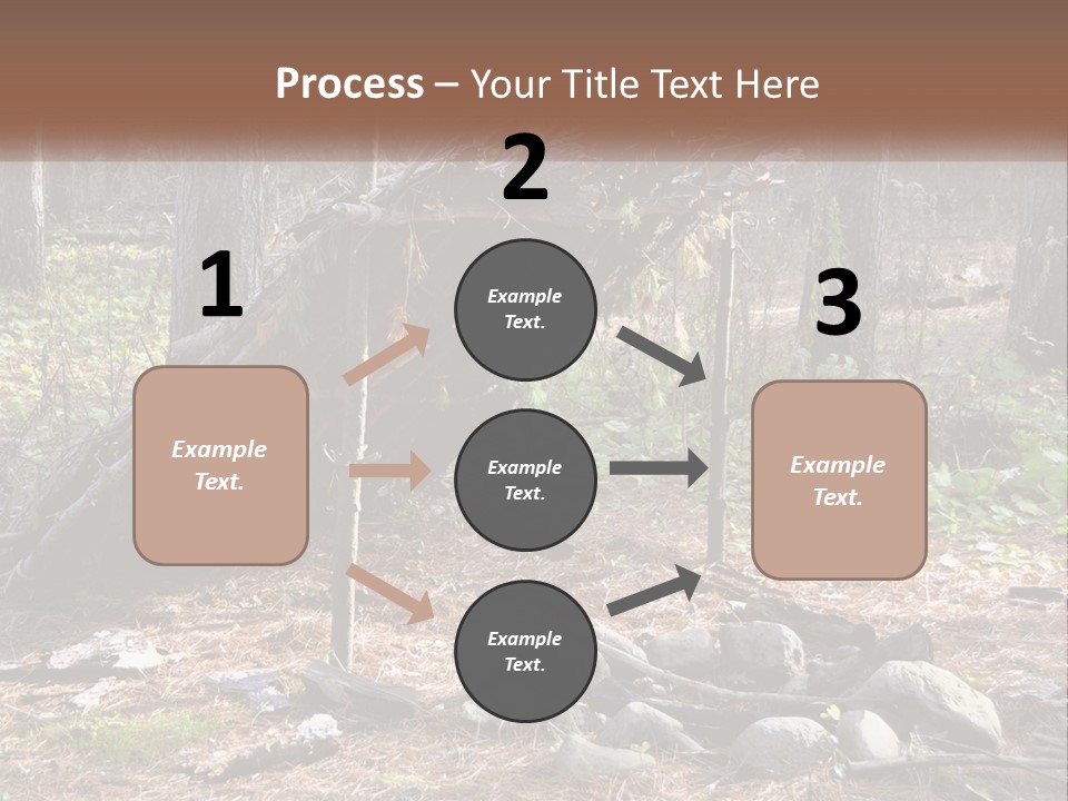 Branch Evergreen Bush PowerPoint Template