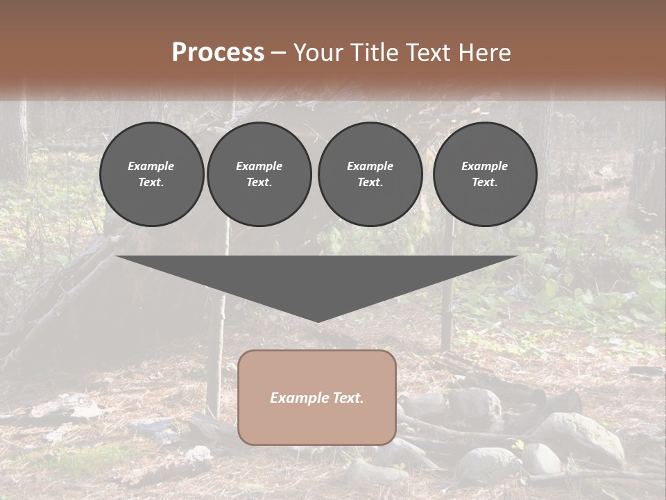 Branch Evergreen Bush PowerPoint Template